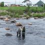 <p align=left>Baie-Trinité: initiationn à la pêche au saumon.